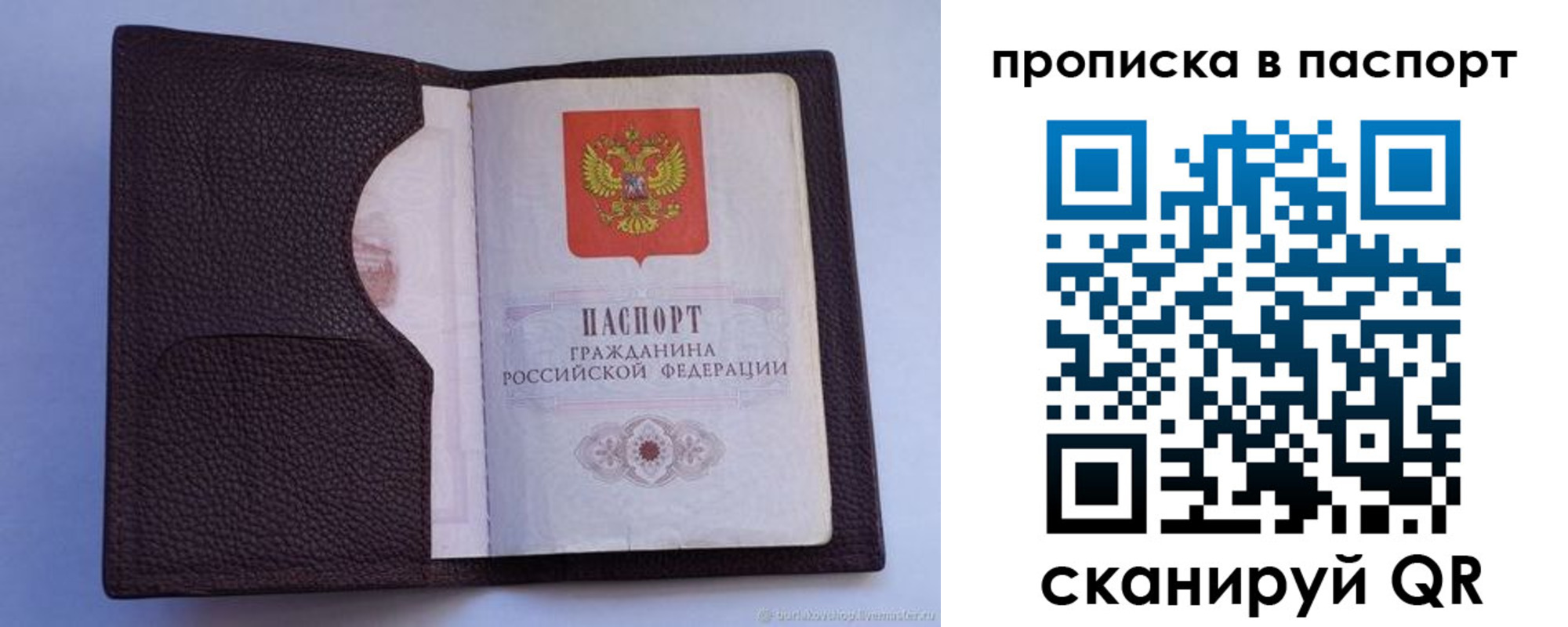 прописка законно в Звенигово